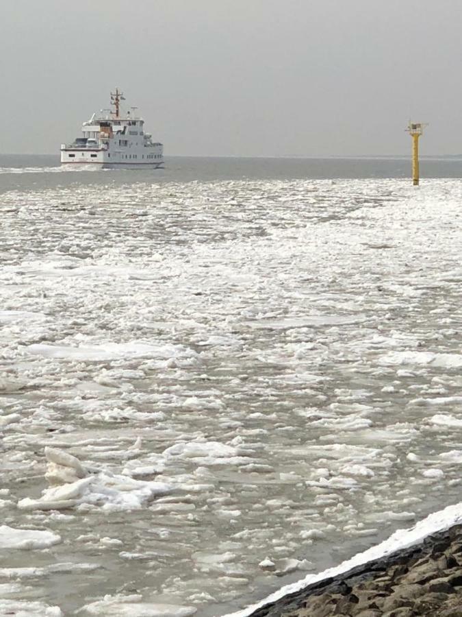 Meerzeit Norderney Exteriör bild